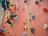 Indoor climbing AJ Echternach (25)